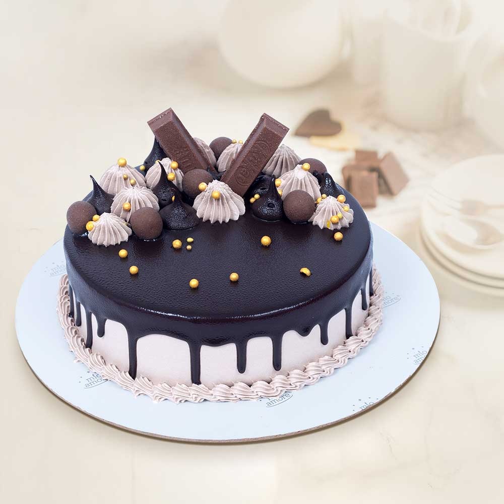 Chocolate celebration cake